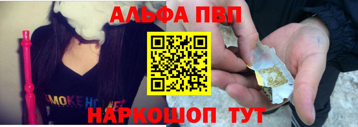 A PVP СК Майкоп