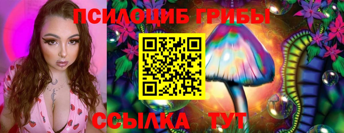 Псилоцибиновые грибы Magic Shrooms Майкоп