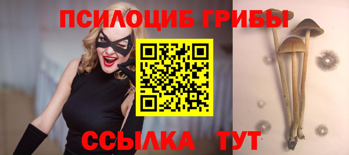 Галлюциногенные грибы мухоморы  Галлюциногенные грибы прущие грибы  Вход с VPN  Майкоп 